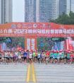 相聚首届柳马，共创美好未来，乘龙领跑向前冲！